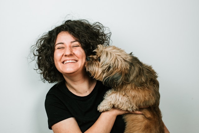Cão Maia após treinamento